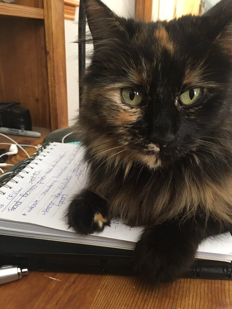 Trying to get some work done but I guess I’m finished now that my to-do list is unavailable