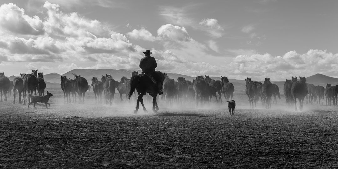 Mix (@getmixapp) on Twitter photo Through a storied trail ride leading to the Houston Rodeo, black cowboys and cowgirls are taking ownership of their role in history. #MixReader m.mix.com/3878yfq <a href="/catrcardenas/">Cat Cardenas</a> <a href="/texasmonthly/">Texas Monthly</a> Through a storied trail ride leading to the Houston Rodeo, black cowboys and cowgirls are taking ownership of their role in history. #MixReader m.mix.com/3878yfq <a href="/catrcardenas/">Cat Cardenas</a> <a href="/texasmonthly/">Texas Monthly</a>