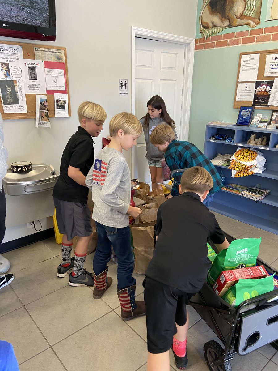klslifkin's tweet photo. So proud of our SGA students! They were able to collect  some much needed supplies to donate to the  Edgewater Animal Shelter! Thankful for all the IRES families who contributed and made this possible! 😻❤️ #IRESthebest #SGA #animalshelter @CCrkvenac @JEGonzaloIRE @IRESManatees https://t.co/Xp0BfFzRyi