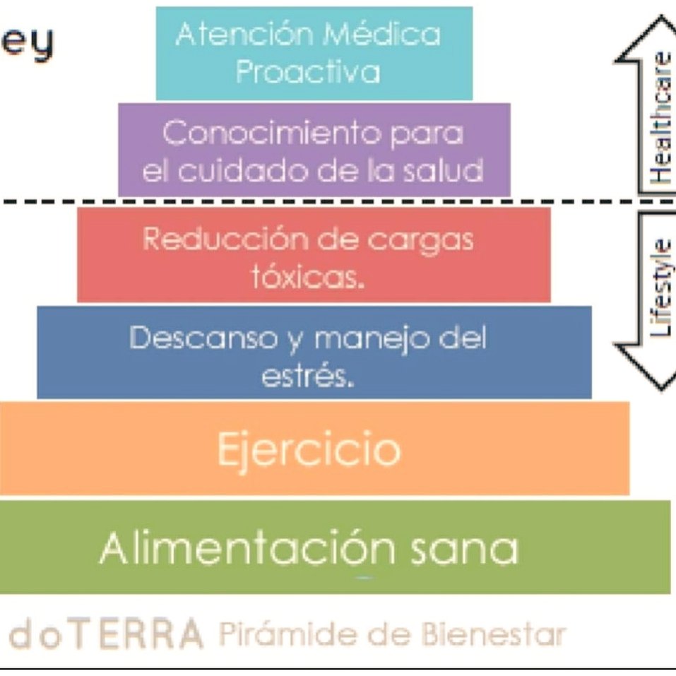 AEmprendes's tweet photo. Te comparto la piramide de bienestar de Doterra para construir hábitos saludables en nuestro hogar todos los días #habitossaludables #familiasempoderadas #familiasfelices #diaadia #healthaddiction #healthtip https://t.co/vjEWviZmq0