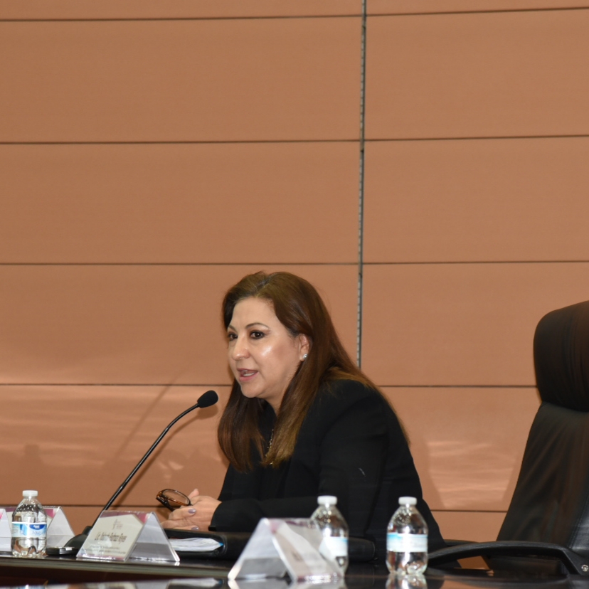observtam's tweet photo. Boletín | OBSERVATORIO DE PARTICIPACIÓN POLÍTICA DE LAS MUJERES EN TAMAULIPAS LLEVA A CABO LA SESIÓN NÚMERO SIETE.
https://t.co/bSxSvxAAp9 https://t.co/RzFtYGS359
