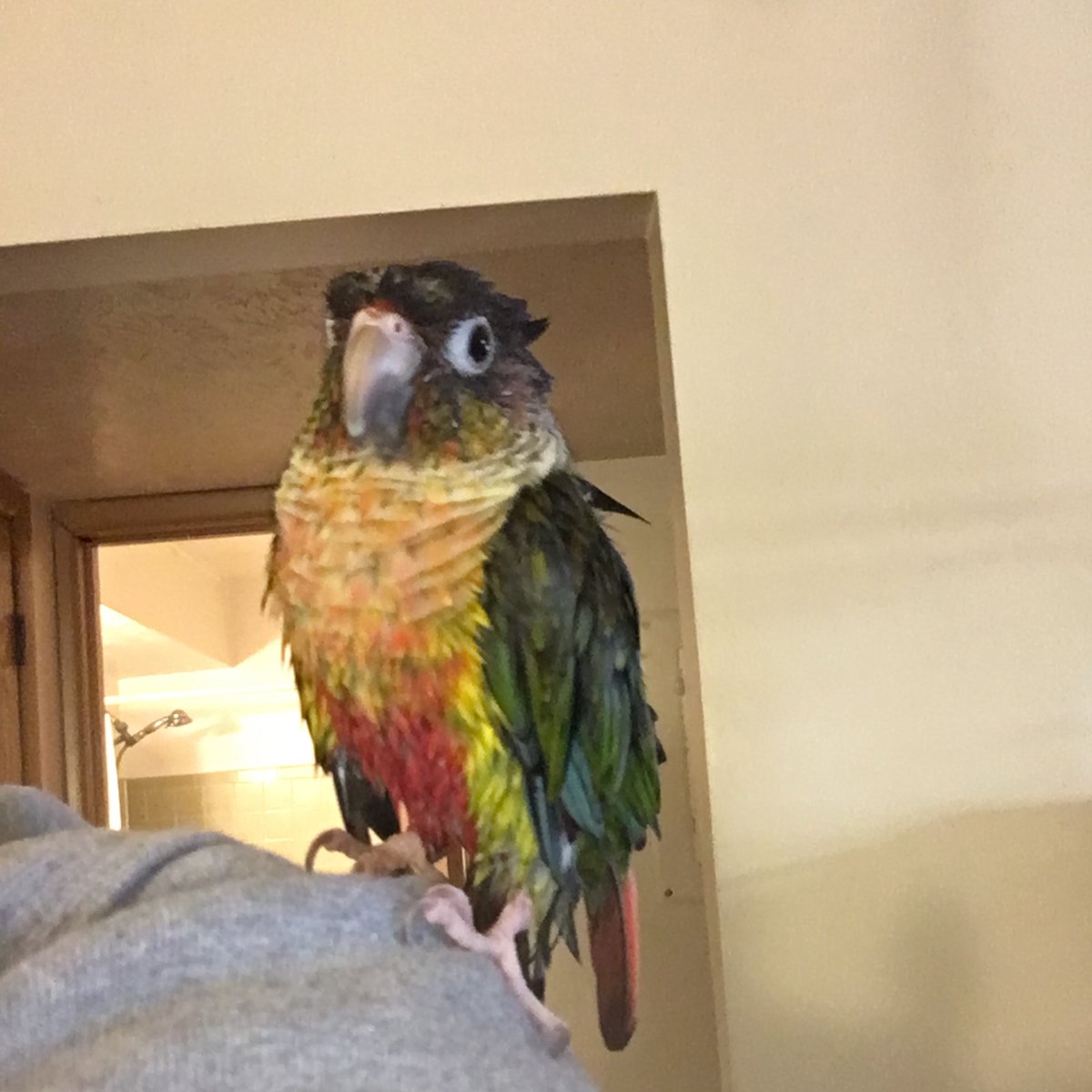 Jenay08's tweet image. I’m obsessed with her ♥️