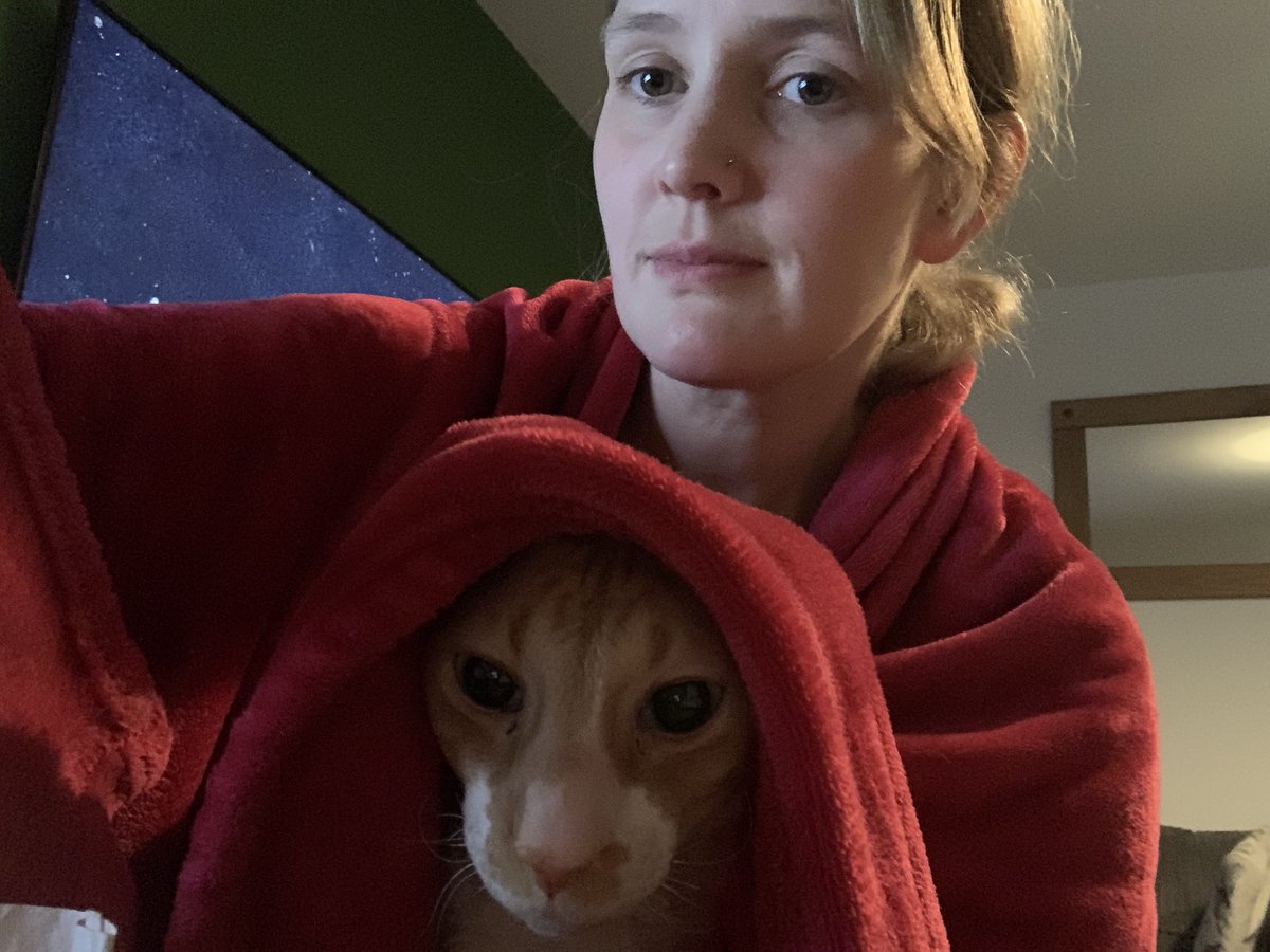 LucyHoileFB's tweet photo. Working late with my orange friend! 😊 #workbud #cat https://t.co/o9nMcVuT3K