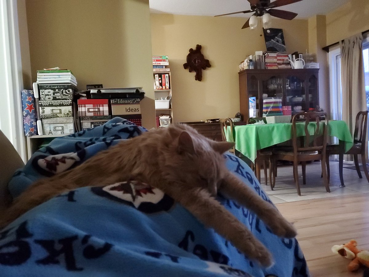 I sleep where I want