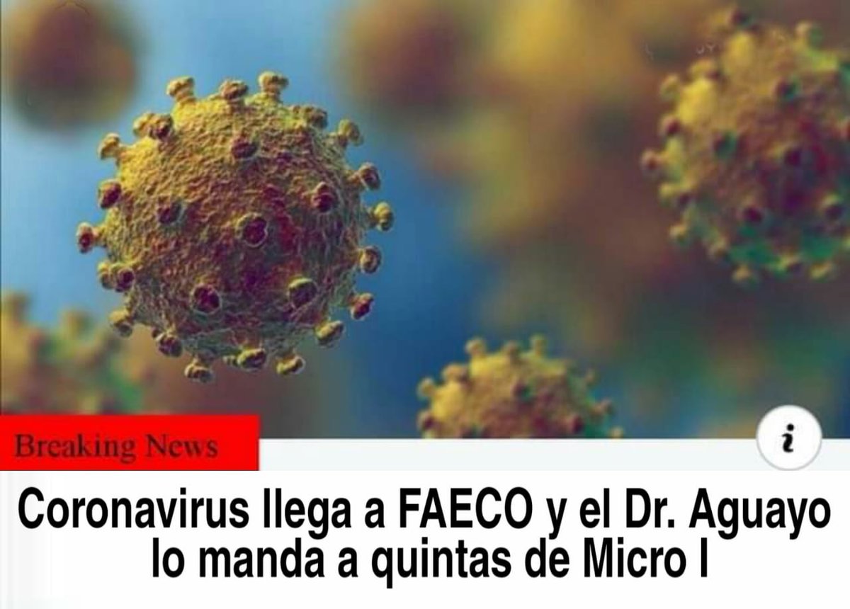 InvictosFaeco's tweet photo. https://t.co/PH0xzAf8ud