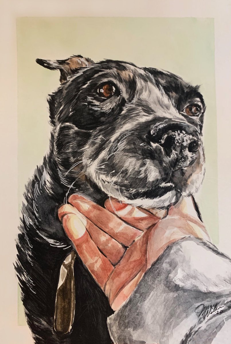 wilsonjenna_'s tweet image. secret meeting everyone ok.... listen close.... if u have a cat.. or perhaps a dog.. oh u don't have one? ok u can stop reading

everyone else... you have pets... listen... ˡᵉᵐᵐᵉ ᵈᵒ ᵃ ʳᵉᵃˡˡʸ ᶜᵘᵗᵉ ᵖᵃᶦⁿᵗᶦⁿᵍ ᵒᶠ ʸᵒᵘʳ ᵖᵉᵗ