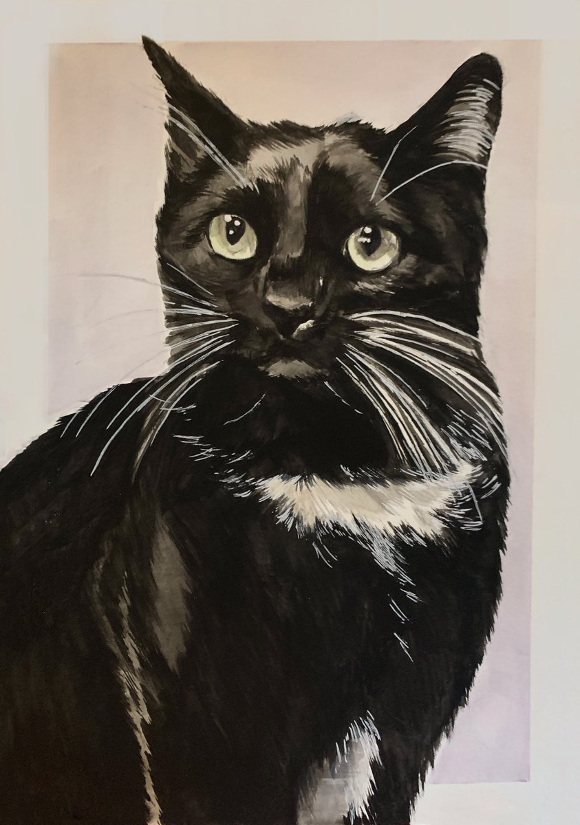 wilsonjenna_'s tweet image. secret meeting everyone ok.... listen close.... if u have a cat.. or perhaps a dog.. oh u don't have one? ok u can stop reading

everyone else... you have pets... listen... ˡᵉᵐᵐᵉ ᵈᵒ ᵃ ʳᵉᵃˡˡʸ ᶜᵘᵗᵉ ᵖᵃᶦⁿᵗᶦⁿᵍ ᵒᶠ ʸᵒᵘʳ ᵖᵉᵗ