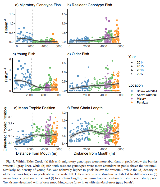 salmon_net's tweet photo. Ecological consequences of partial migration in #steelhead
Areas with more migratory alleles have higher densities of young fish and less old fish that occupy higher trophic positions
#fishsci @sjkelson @fishteph @ESPM_Berkeley @UMNews @ESAEcosphere https://t.co/T87v7AWRDD https://t.co/QxuzlCNP7O