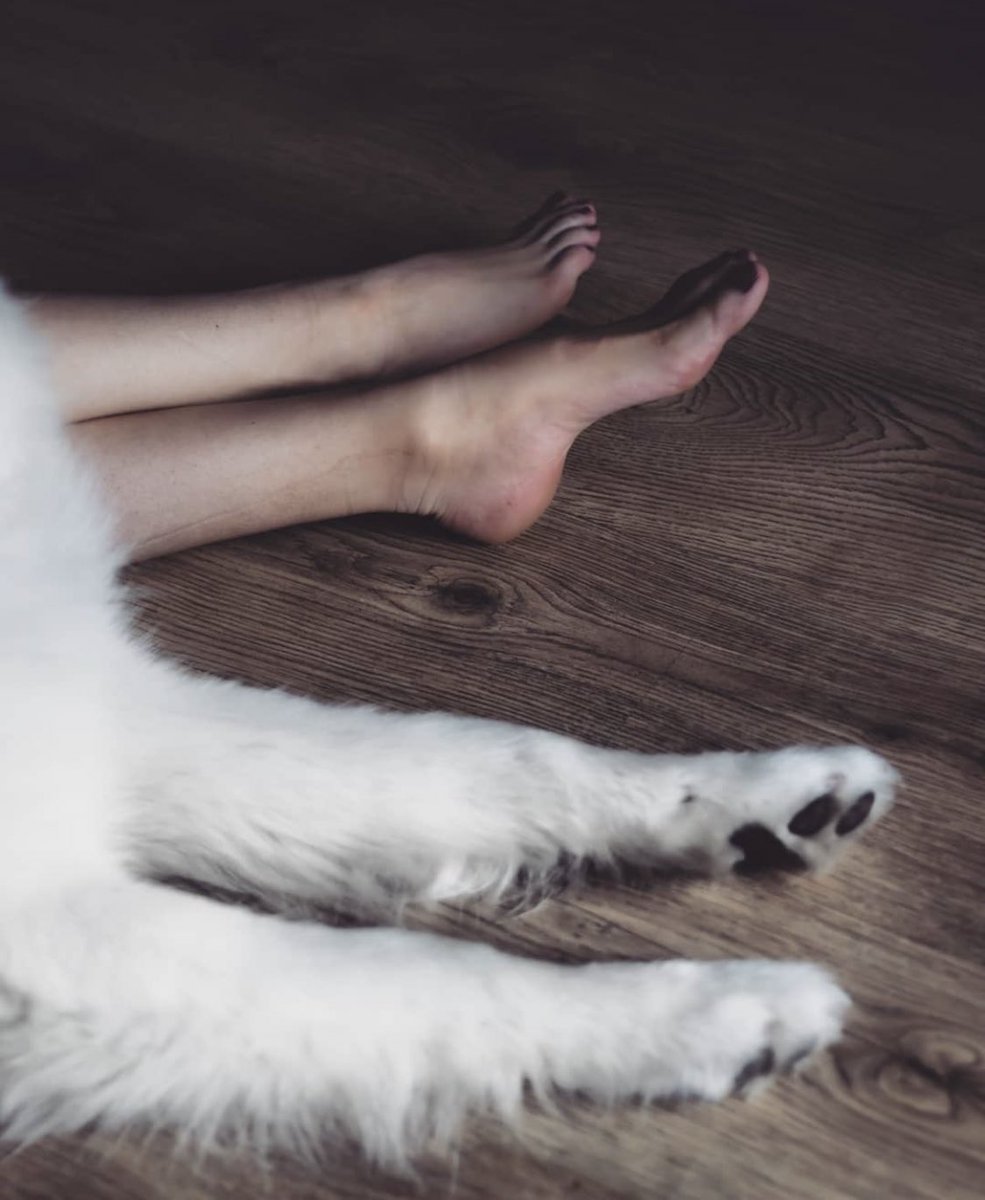 vickygoddesss's tweet photo. Lazy daaay #Findom #foot #fetish #footfetısh #kitty #paypig https://t.co/EyhVDufbTi
