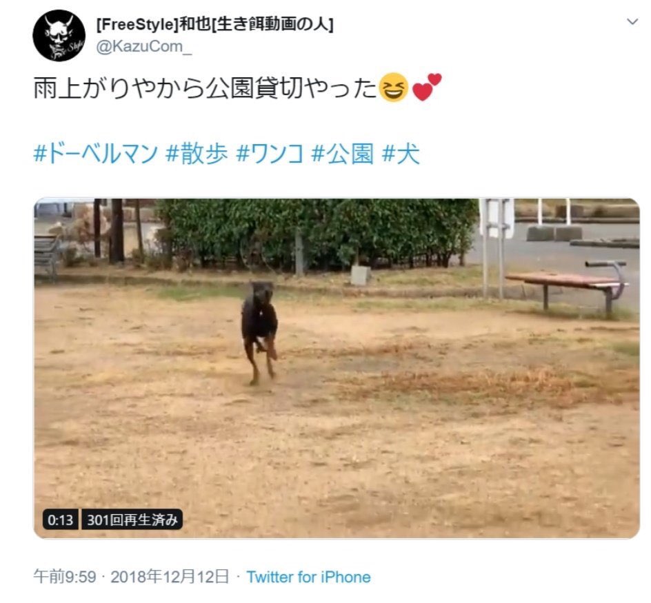 犬泥棒