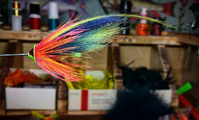 MFlycraft's tweet photo. Playing with fluo dyes. Call it a rainbow fly or something 🌈

#salmonflies #salmonfishingscotland #salmonflyfishing #thetugisthedrug #flytyingjunkie #flytyingart #steelheadflies #flytying #flyfishingscotland #flyfishing #flybox #flyboxporn #flybench … https://t.co/7SGt9ZVzVP https://t.co/SjzIHHqUZc