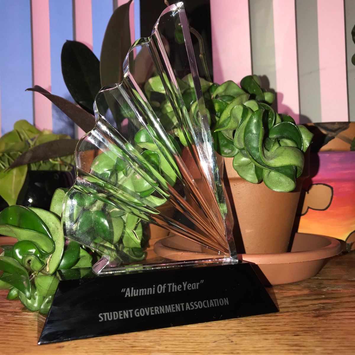 Themi_MSU's tweet photo. We would like to take this time to congratulate our very own @Mis_Poetic for winning Alumni of the year!!! 💙🏹 She was made a huge impact on the Old Westbury community and continues to flourish in all her endeavors 🥰 Continue being great sister! #ThemiLovesYou #Themiskyra https://t.co/WB1E4Daxfo