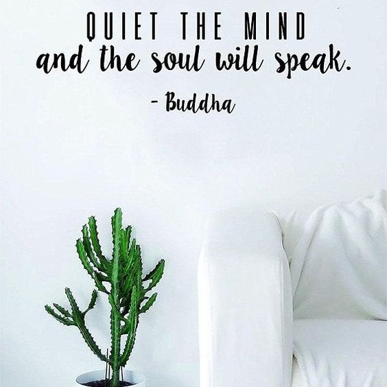 Find Stillness in your daily life and the mind will begin to follow 🙏☀️

#blacklotusyogadc #yogadaily #mindfullness #mindfulliving #washingtondc #washingtondcyoga #buddhaquotes #stillness #meditation #wellness #dcyogis