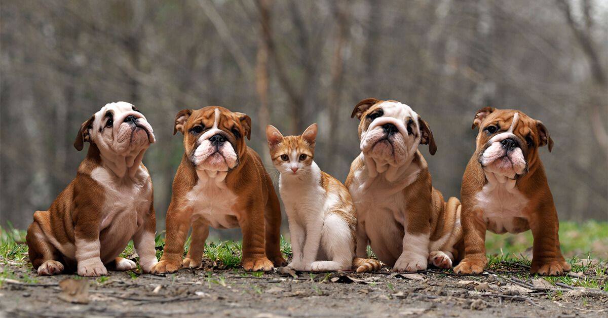 Does your business look like everyone around you? Or are you standing out from them...

Same or Different?

#BrandExcellence #MarketExcellence #strategyexcellence #marketing #branding