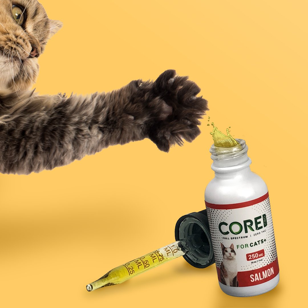 core_cbd tweet picture