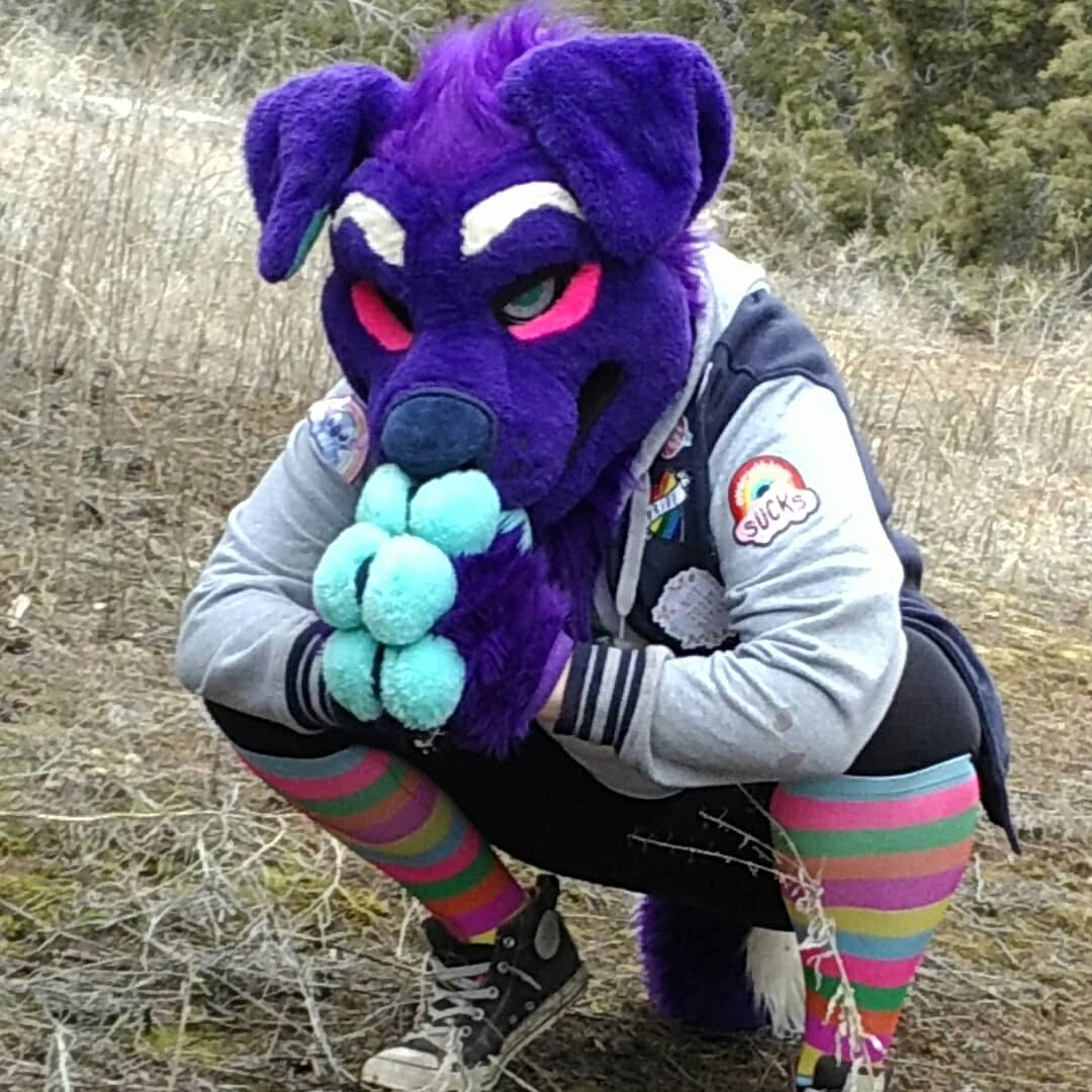 Stubs_the_baby's tweet photo. Angry purple boyo
.
.
.
.
#furry #FurryFriday #cute #furryfemboy #furrypics #FursuitFriday #fursuit #furrybean https://t.co/Wnrict3MqQ
