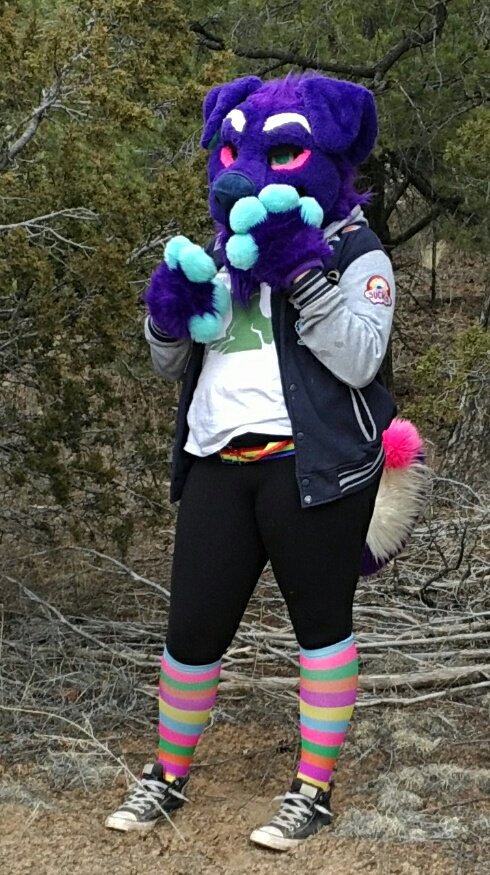 Stubs_the_baby's tweet photo. Angry purple boyo
.
.
.
.
#furry #FurryFriday #cute #furryfemboy #furrypics #FursuitFriday #fursuit #furrybean https://t.co/Wnrict3MqQ