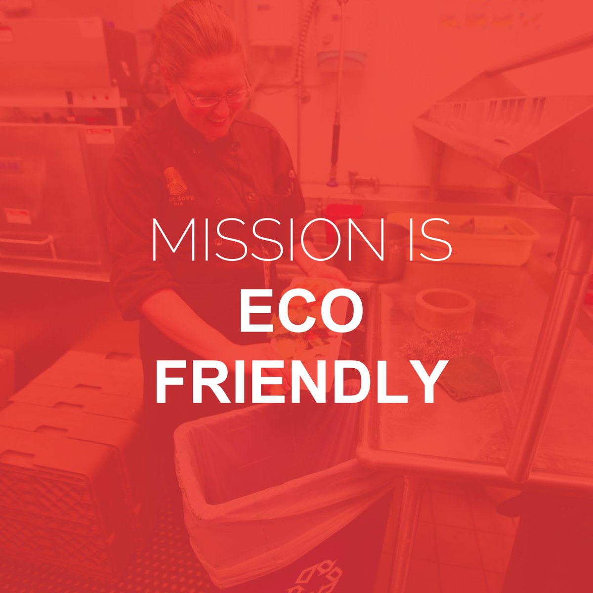 What is Mission Yogurt? Mission is Eco-Friendly including composting, recycling, and utilizing repurposed décor.