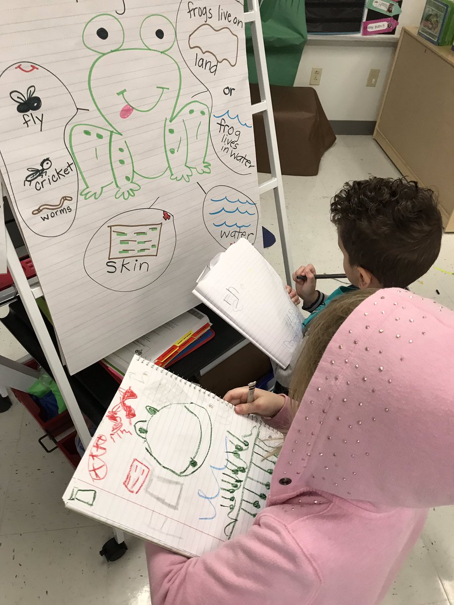 mrslainsclass's tweet photo. Another week in! Patterns, writing and sharing facts about frogs, plus learning about animals/ culture in Australia! https://t.co/jRZbG10fto