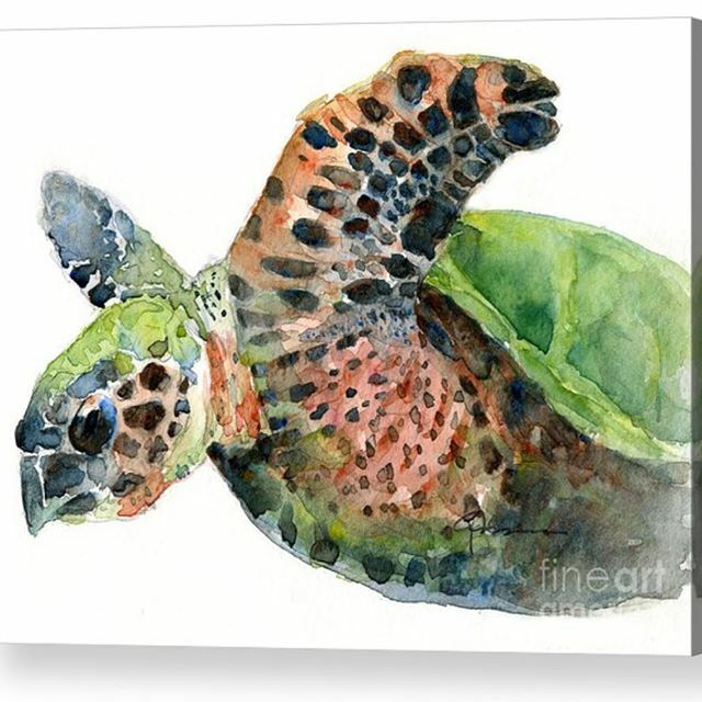 Decorating a coastal home on a large scale? Come see me in BOOTH 138, The Original Boca Art Show, Boca Raton Feb 29 - Mar 1. Watercolor Art. ift.tt/2TmJhZq
