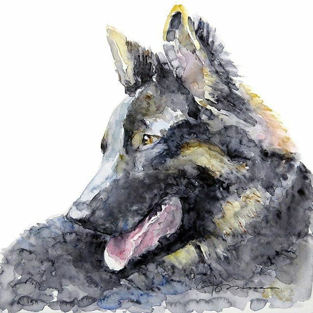 This fella and I will be exhibiting at the art show at Boca Town Center CIRCLE Feb 29 and Mar 1. BOOTH 138, 10-5. #artforsale #artshow #southflorida #watercolor #Towncentercircle ift.tt/2I1GWxX