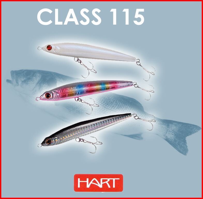 Bazarpalmeras's tweet photo. señuelos para pesca a spinning CLASS 115 de Hart (115mm - 26 g). Revolucionario stick bait pencil de natación a media agua y pistón móvil con fijación magnética durante la recogida, 
#fishingmallorca #spinning
 #fishinginmallorca  
#hartfishing #tiendasdepesca
#bazarlaspalmeras https://t.co/tDp4FrqmQc