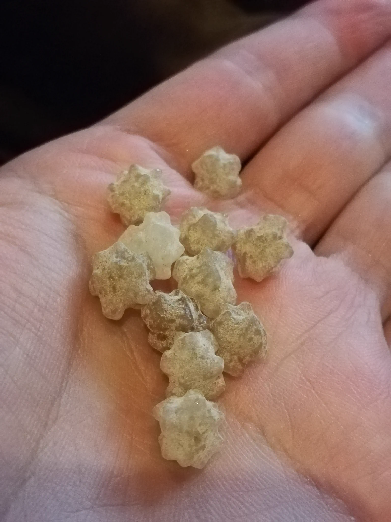 【これって血の味じゃん】千草ホテルのオリジナル金平糖、その名も鉄平糖