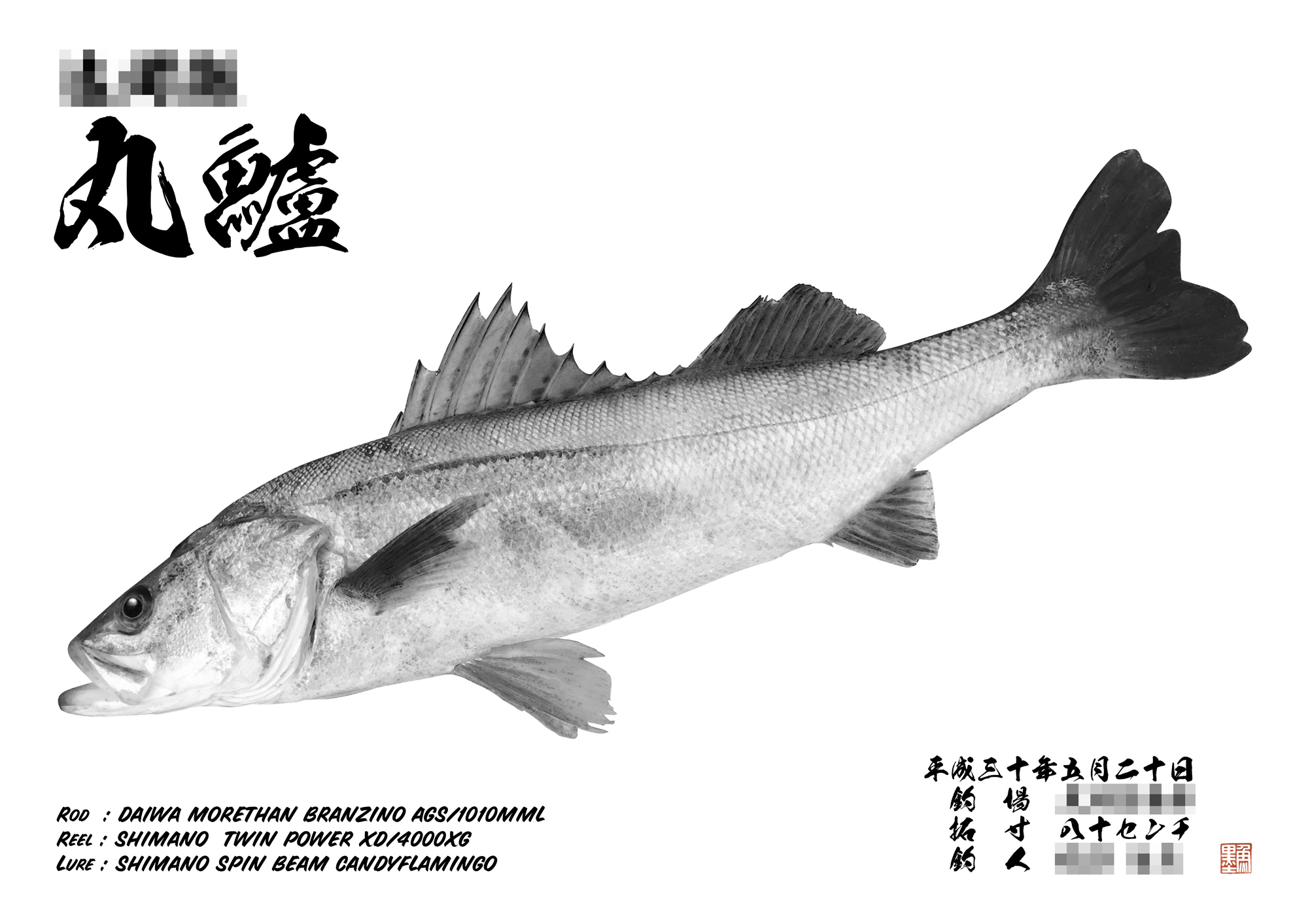 立体魚拓　シーバス　スズキ 立体魚拓シーバススズキ