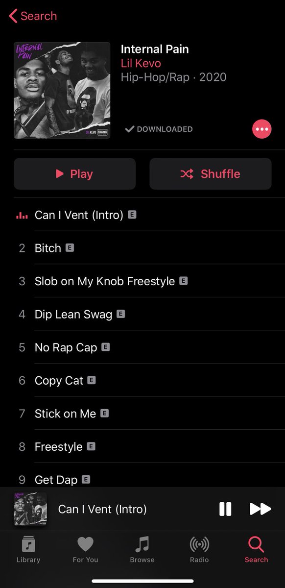 LilKevo252's tweet photo. INTERNAL PAIN OUT NOW ON ALL PLATFORMS‼️‼️😈📀 https://t.co/2luiJppNPl