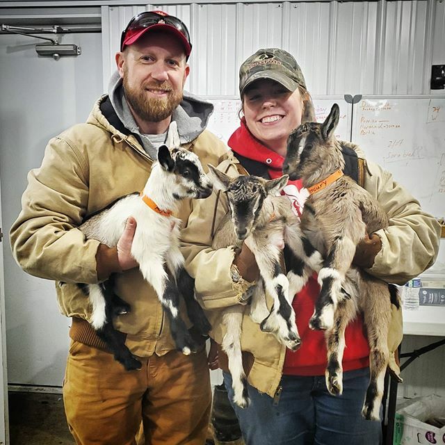 goatmilkjim's tweet photo. Happiness is...
#goatmilkstuff
#kidding #experience
#nobirth #noproblem
#babygoats #abound
#feed #cute #baby #goats
#southernindiana #goat #farm
#GMSKids #goatsofinstagram https://t.co/Gd2sz0rtId https://t.co/S3VW5Xwz2p