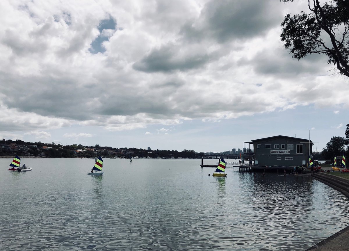 ambradambra's tweet photo. Nice morning for water activities ... says the spectator with bacon & egg roll and coffee in hand. #innerwest #RoddPoint https://t.co/ygHP4RnyBX