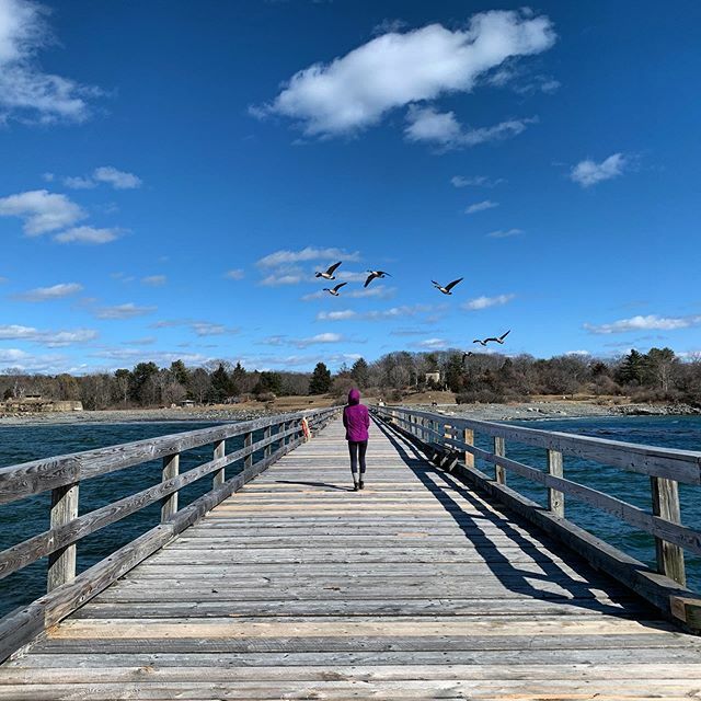 JustGoTravelSt1's tweet photo. Went in search of some sunshine and fresh air which led us to the seacoast to celebrate my birthday! Took my favorite shot of the day as my daughter walked down the pier at Fort Foster and the geese flew overhead. So what if the wind was cranking and nearly blew my phone out… https://t.co/IWFxHONGy3