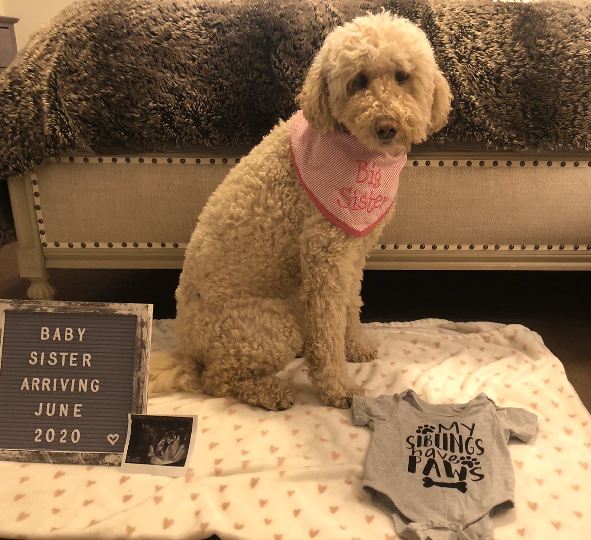 MichelleK2's tweet image. To make it official across all social media outlets... i am pregnant- due in June! :)