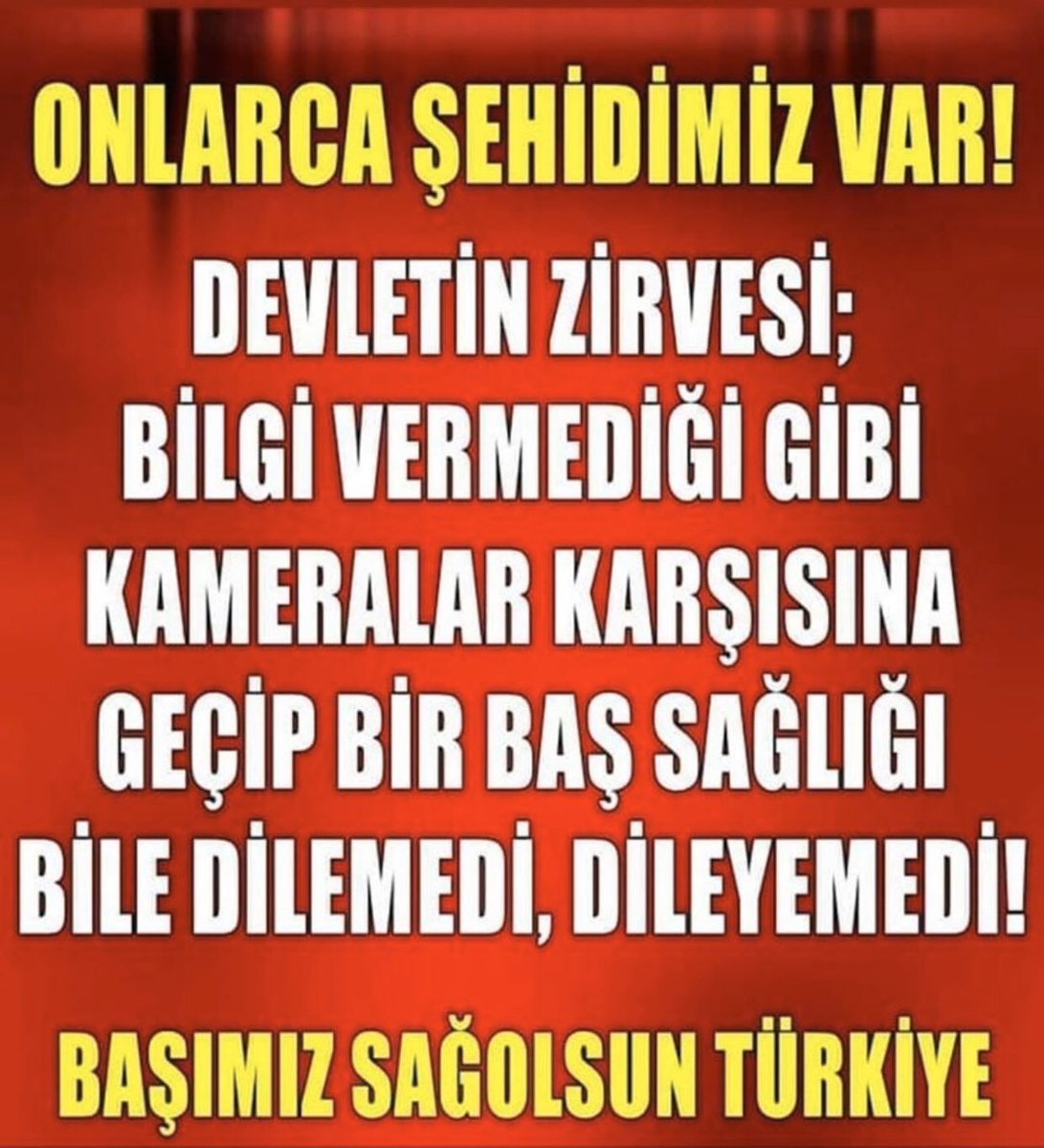 serap erok (@seraperok) on Twitter photo 