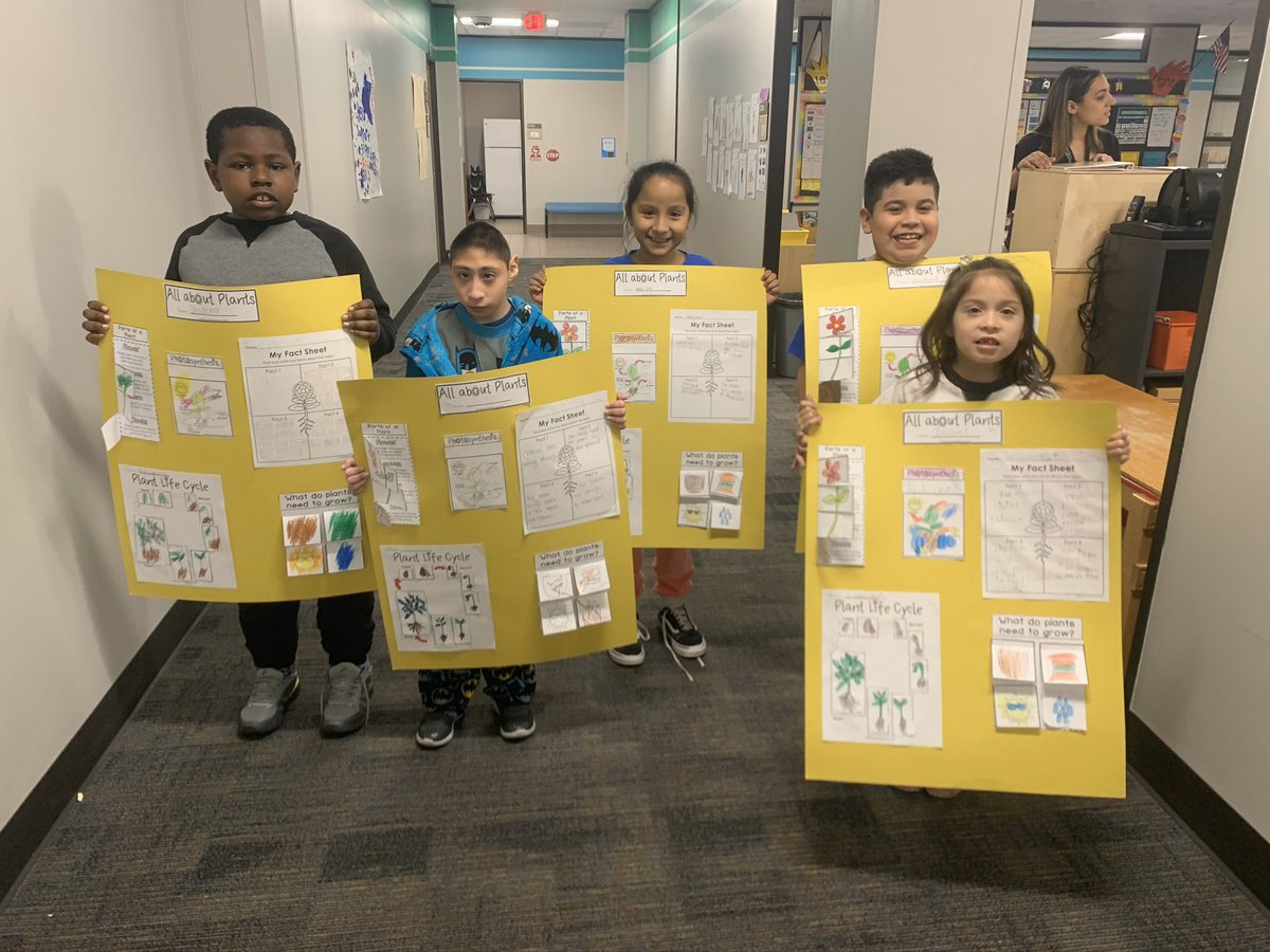 MsLPowellsClass's tweet photo. For the past two weeks, we have been studying plants in science. Today we completed our plant fact posters! They are so proud of their work. 😁@WillbernES #bewillbern https://t.co/CZ7C13yp00