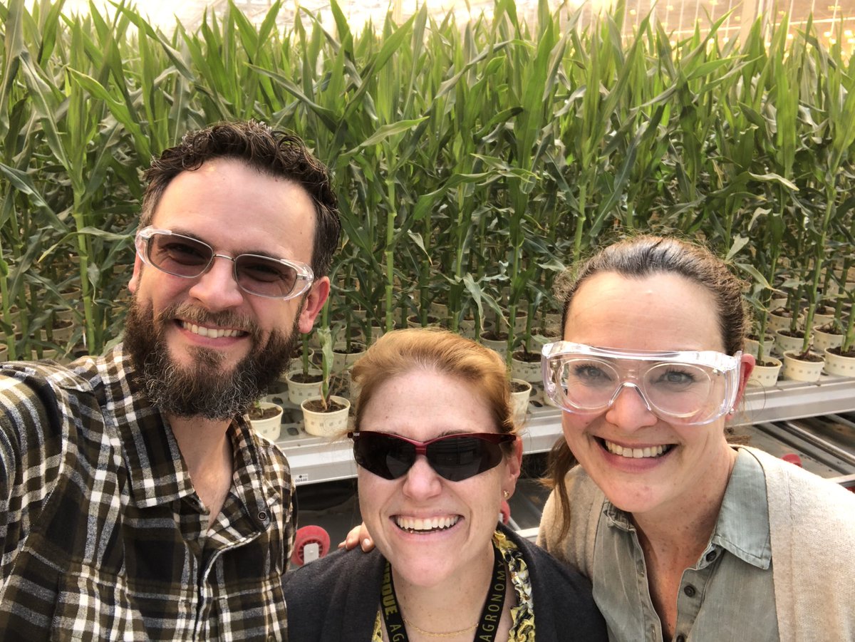 Great meeting Sina Roth in person at our <a href="/Bayer4Crops/">Bayer | Crop Science</a> AZ greenhouse after so many Skype calls last summer! We caught up with <a href="/AgeeCarroll/">April Agee Carroll</a> on all things greenhouse plant imaging during her #Phenome2020 visit