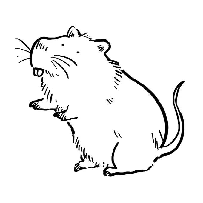 『桐谷さん ちょっそれ食うんすか!?  』8巻料理紹介 ⑤「猟師のヌートリア定食」今農業界で話題の害獣、ばかでかドブネズミことヌートリア。しかし食材としては愛すべきポテンシャル。単行本購入はこちらから→https://t.co/ngaM3vbCWW … … … … … 