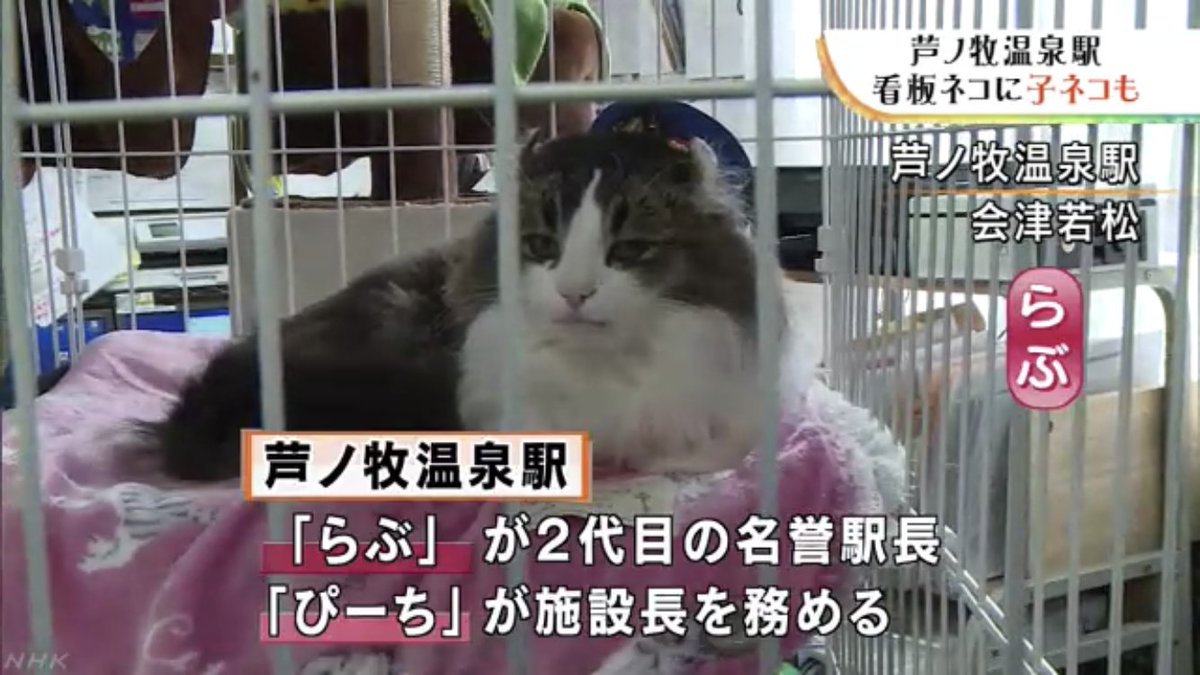 戸澤右門 Umon Tozawa 2月22日 は数字の語呂合わせ にゃん にゃん にゃん で 猫の日 とされている 会津鉄道 の 芦ノ牧温泉駅 では2匹の 看板ネコ に加えて メスの 子ネコ が新たに加わることになり 初めて お披露目 された 17 56 らぶ