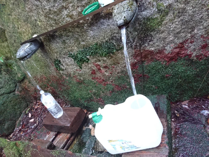 いつもの天然水(*^ω^*) 