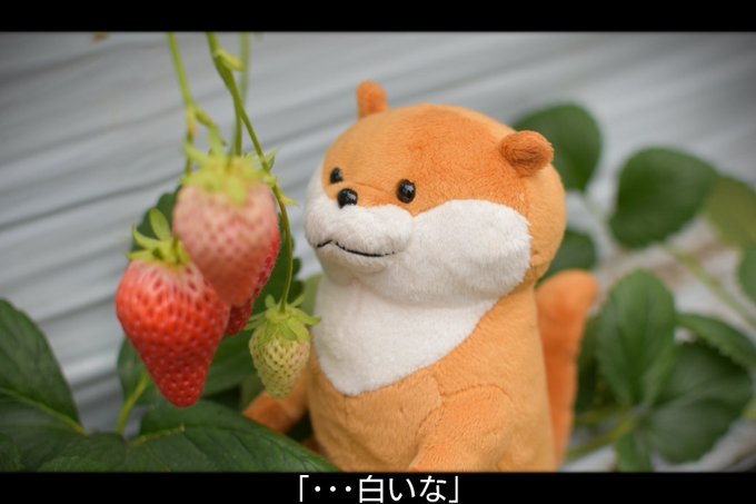 Twitterのコスプレ画像28