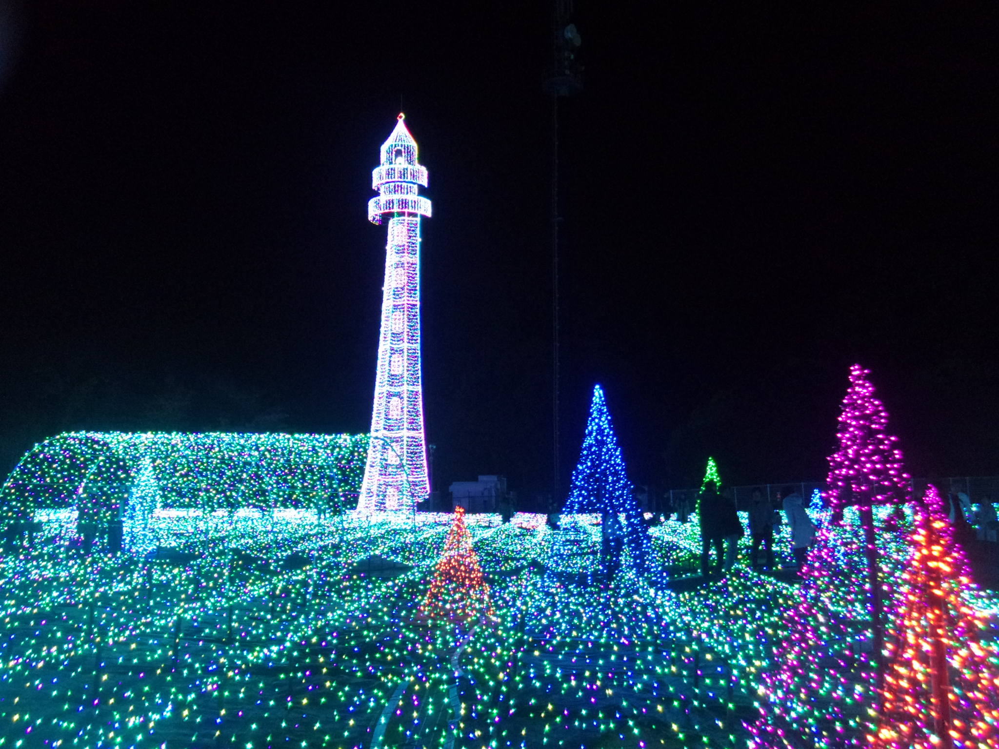 Twitter 上的 Greenmidori Hitonowa 冬といえばイルミネーションですが またイルミネーション画像添付します 今日で冬 の期間 １２月 ２月 も終わりですので １２月から添付したイルミネーション画像の更新は今日で終了します 次は夏に花火画像を更新する予定