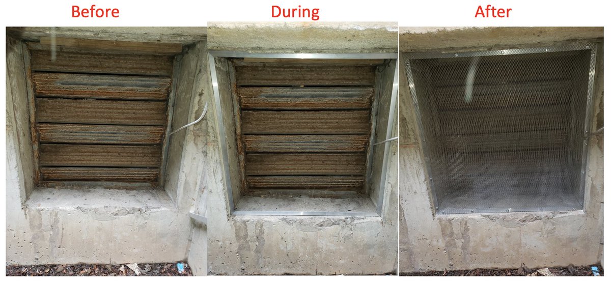 LandmarkPest's tweet photo. Before and After 
Structural exclusion, such as screening vents, is key to keeping rodents out of buildings. Aluminum framing is used to create a frame to which the expanded steel material is affixed. This allows the screen to be  removed for periodic maintenance. https://t.co/8xYYUkC5YE