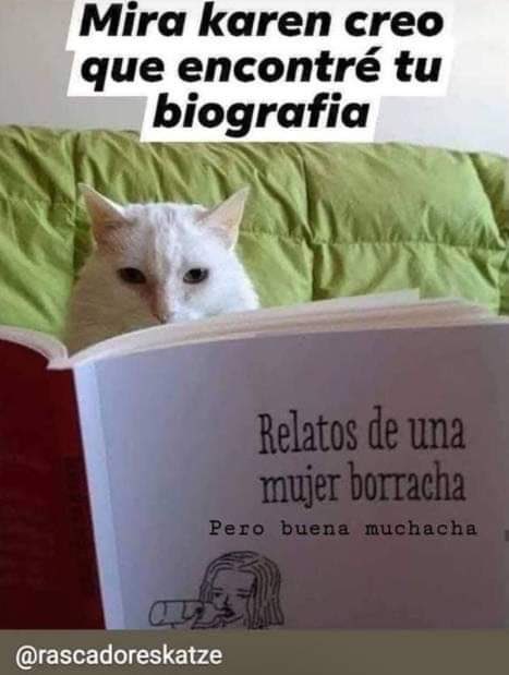 Karen Baez On Twitter El Michi Sabe Karen Baez On Twitter El Michi Sabe