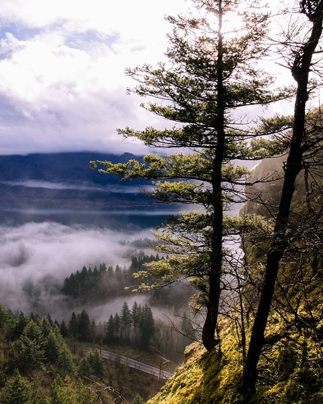 The people here before us suggested we had just missed the most beautiful part of the morning, but we've learned to stand awhile in a place. Every scene is always changing. There is no 'most.' But there are many. #CapeHorn #Prindle #SkamaniaCounty #Washi… ift.tt/2I5nGj1