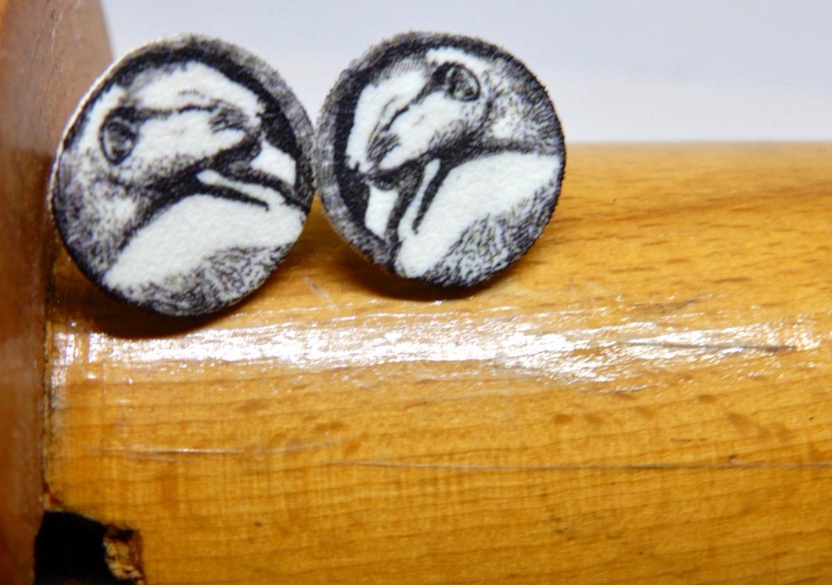 buck_lj's tweet image. Dormouse Stud Earrings - Cute Animal Jewellery - Gift For Wildlife Lover - Shrink Plastic. tuppu.net/47b25c49 #Slumbermonkey #Etsy #RoundStuds