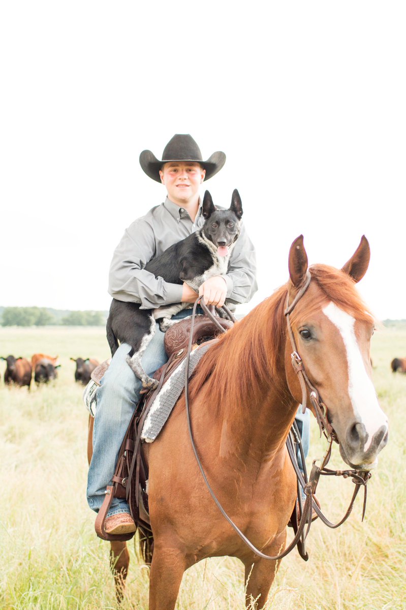 smoothasacat's tweet photo. Congratulations to CO-CHAMPIONS of the Arbuckle Mountain Futurity 4YO Non Pro Lance Cooper &amp; Whiskeemakesmefriskee marking a BIG 222!!! Check out this super cute photo of Lance, Rain and Whiskee by Lauren Erwin Photography https://t.co/7O0EdBPJqo