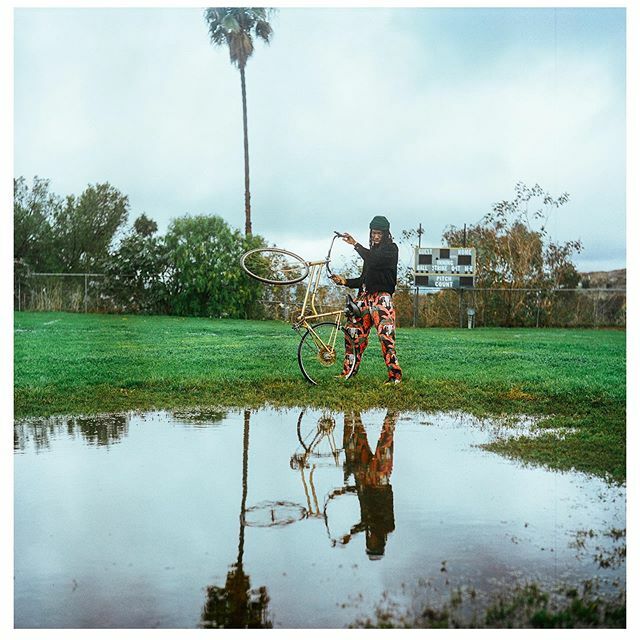 Mason Adams tweet media