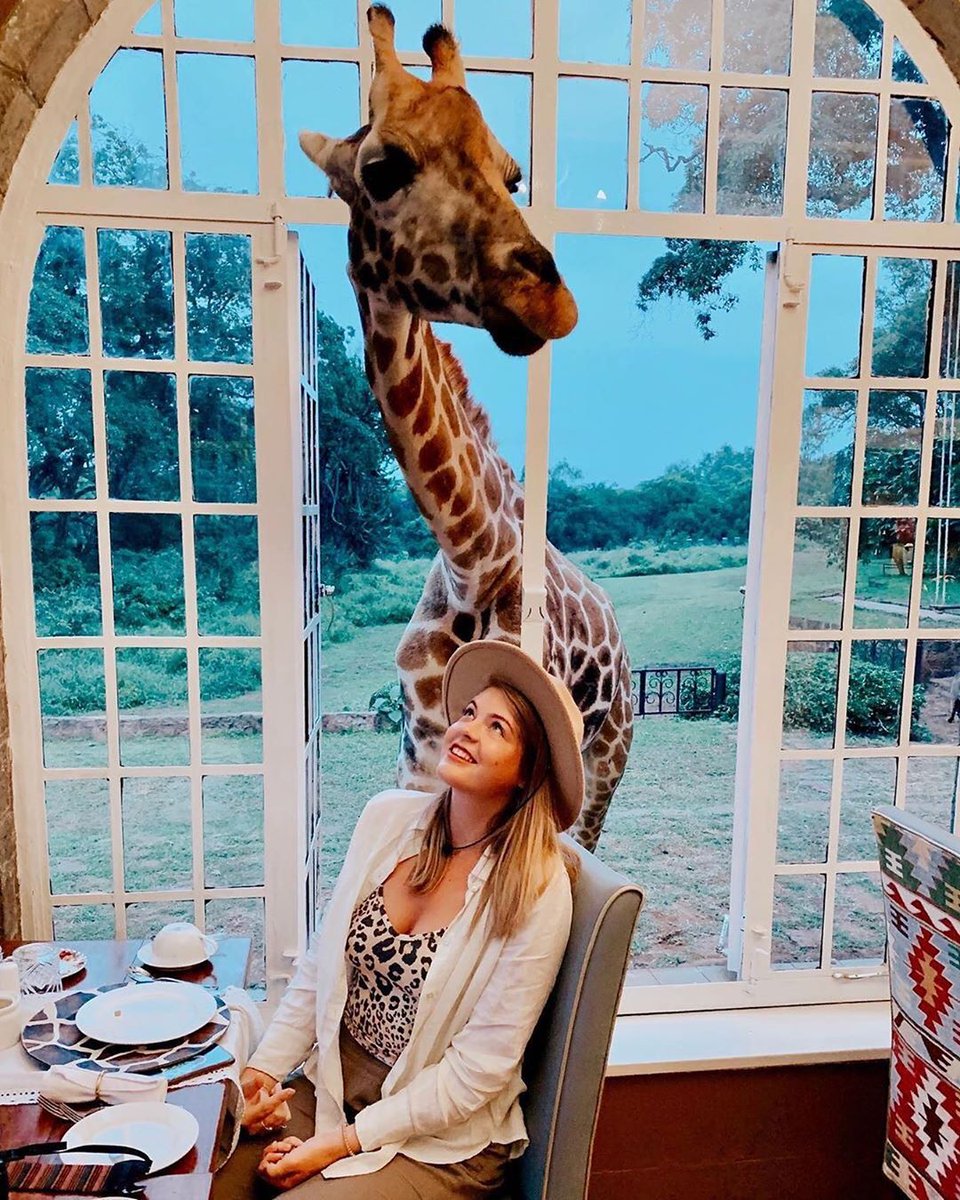 DreamMaker (@dreammakerexp) on Twitter photo Please let me share your breakfast with you
Giraffe Manor, #Nairobi, #Kenya
Please visit HouseofDreamMaker.com and follow <a href="/dreammakerexp/">DreamMaker</a> #NeverToBeRepeatedDesigns
#HouseofDreamMaker
by @katieschanze Please let me share your breakfast with you
Giraffe Manor, #Nairobi, #Kenya
Please visit HouseofDreamMaker.com and follow <a href="/dreammakerexp/">DreamMaker</a> #NeverToBeRepeatedDesigns
#HouseofDreamMaker
by @katieschanze