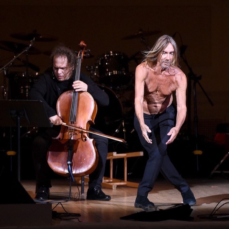 Performing “I wanna be your dog” with @iggypop at Carnegie Hall for the Tibet House concert led Annually by <a href="/philipglass/">Philip Glass</a> 
#iwannabeyourdog #iggypop #carnegiehall #philipglass
