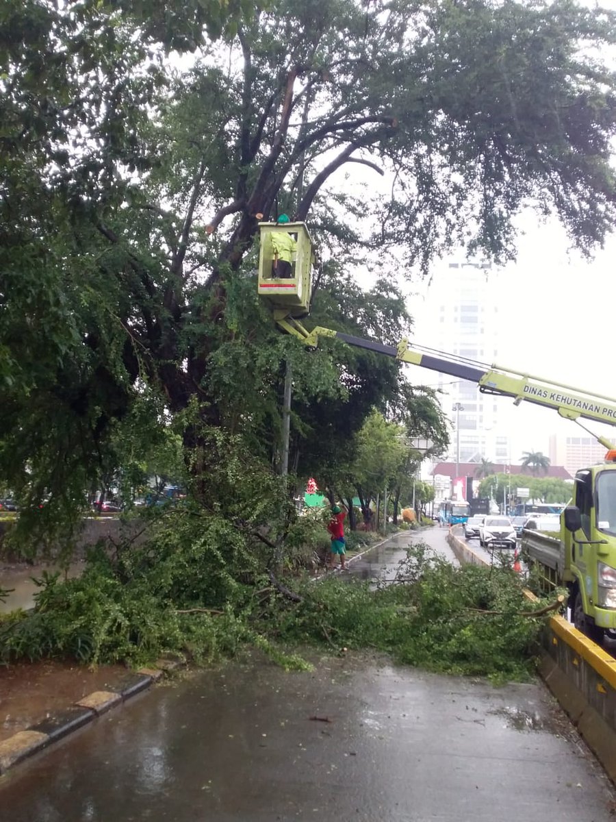 11.17.Penanganan pohon sempal di Jl.IR.H.Juanda,Jakpus.Hati-hati bila melintas @aniesnewsupdate <a href="/BPBDJakarta/">BPBD DKI JAKARTA</a> <a href="/RadioElshinta/">Radio Elshinta</a> <a href="/TMCPoldaMetro/">TMC Polda Metro Jaya</a>